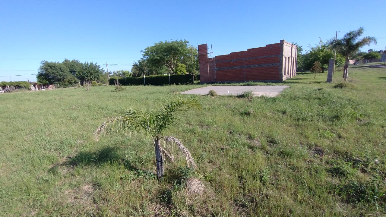 Bº Los Paraísos - Calle Los Jacarandaés entre Los Alamos y Los Olmos